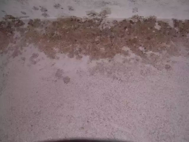 ӷ۵9󳣼⼰취